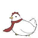 kokeko