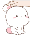 bunnypet