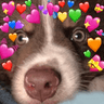 DogsOfDiscord_3_ArchieWholesome