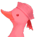 AMDuckPartyDance