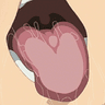 licc
