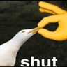 shutit