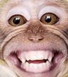 monke2