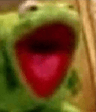 AL_frogGottem