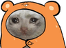 FTGPcatcutecry