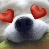 DogsOfDiscord_2_InLove