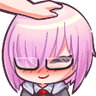 miya_pet