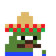 hh_ppSenor