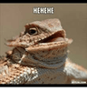 Hehe
