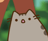 ShockedCat