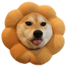 flowershiba