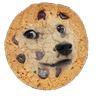 dogecookie