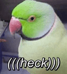 HECK