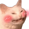 bakacatblushing