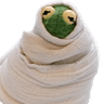 FTGPfroggycosy