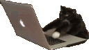 PEWtype