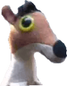 yo_opino