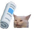 catwhack
