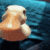 duckattack