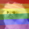 gay