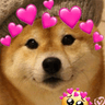 DogsOfDiscord_2_datboiLuvsU