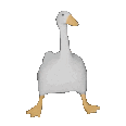 dancegoose