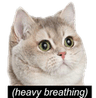 catheavy_breathing