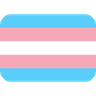 trans_flag