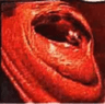 ultrakek