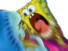 Spungebob