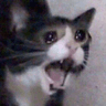 yamero