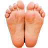 soles