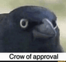 crowapproval