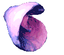 aedgy_whirl