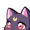 hh_catLook