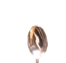 Spoon3