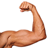 flexRight