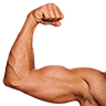 flexLeft