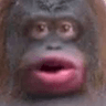 uhOhStinky