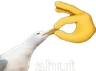 shut