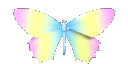 aedgy_butterfly2