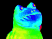 5f3b077961768478008946