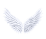 wings