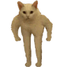 small_cat_stand
