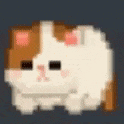 rollingcat