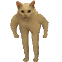FTGPcatelongleggif
