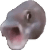 pogfish