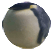 panguin