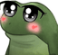 FrogeAnime