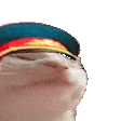 catcomradevibe